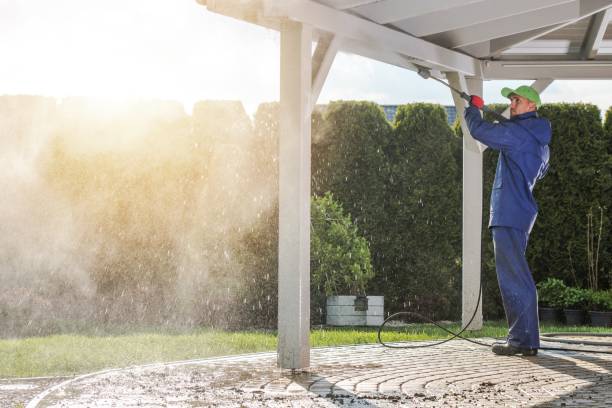 Trusted Las Animas, CO Pressure Washing Experts